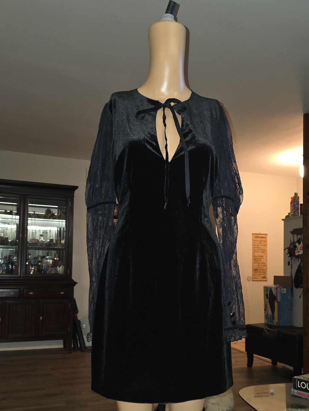 FREE PEOPLE Midnight Hour Mini Dress
Women’s Black Velvet Tie-Neck Dress